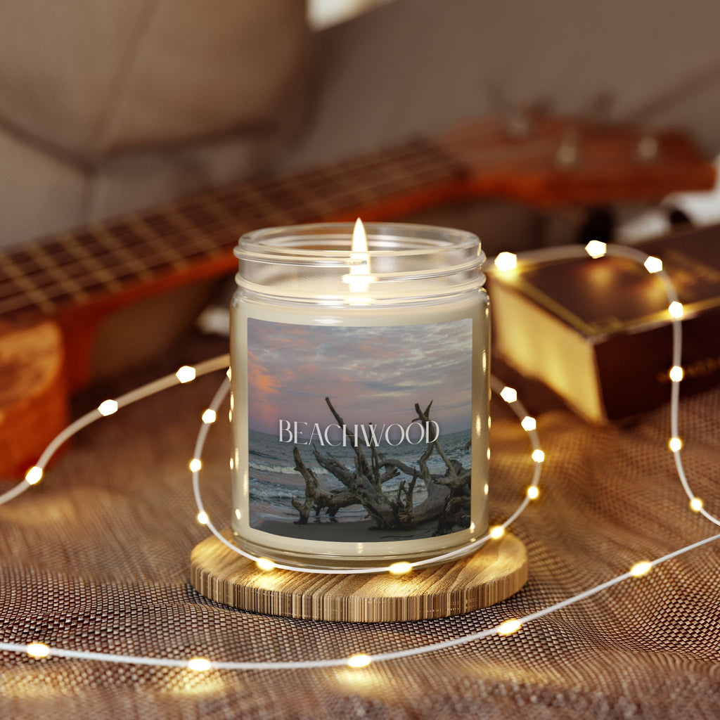 Beachwood Scented Candle, Coconut Apricot Wax, Coastal Home Fragrance, Ocean Scented Aroma, Calming Decor Gift, 4oz & 9oz
